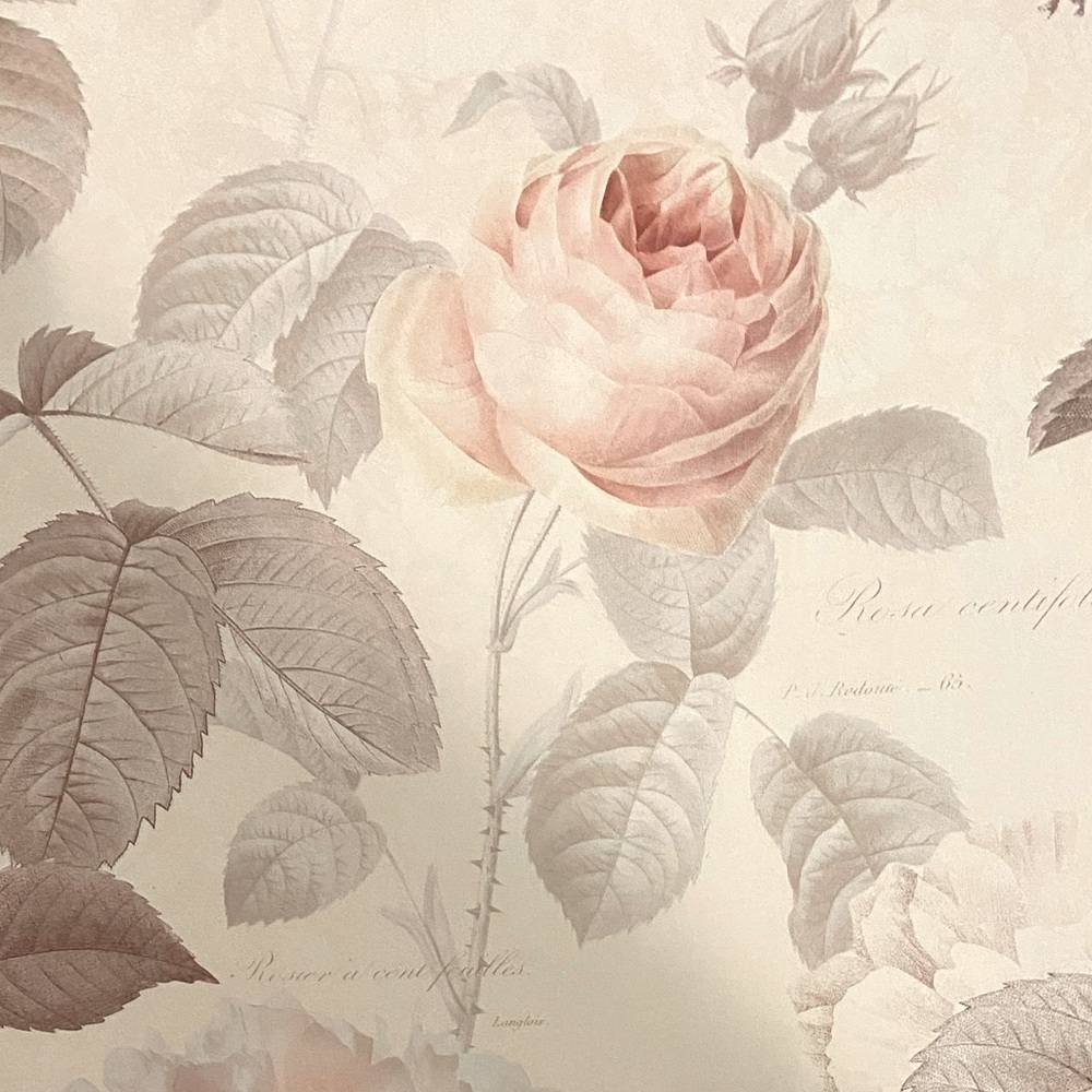 Meet your Posher, Vivi